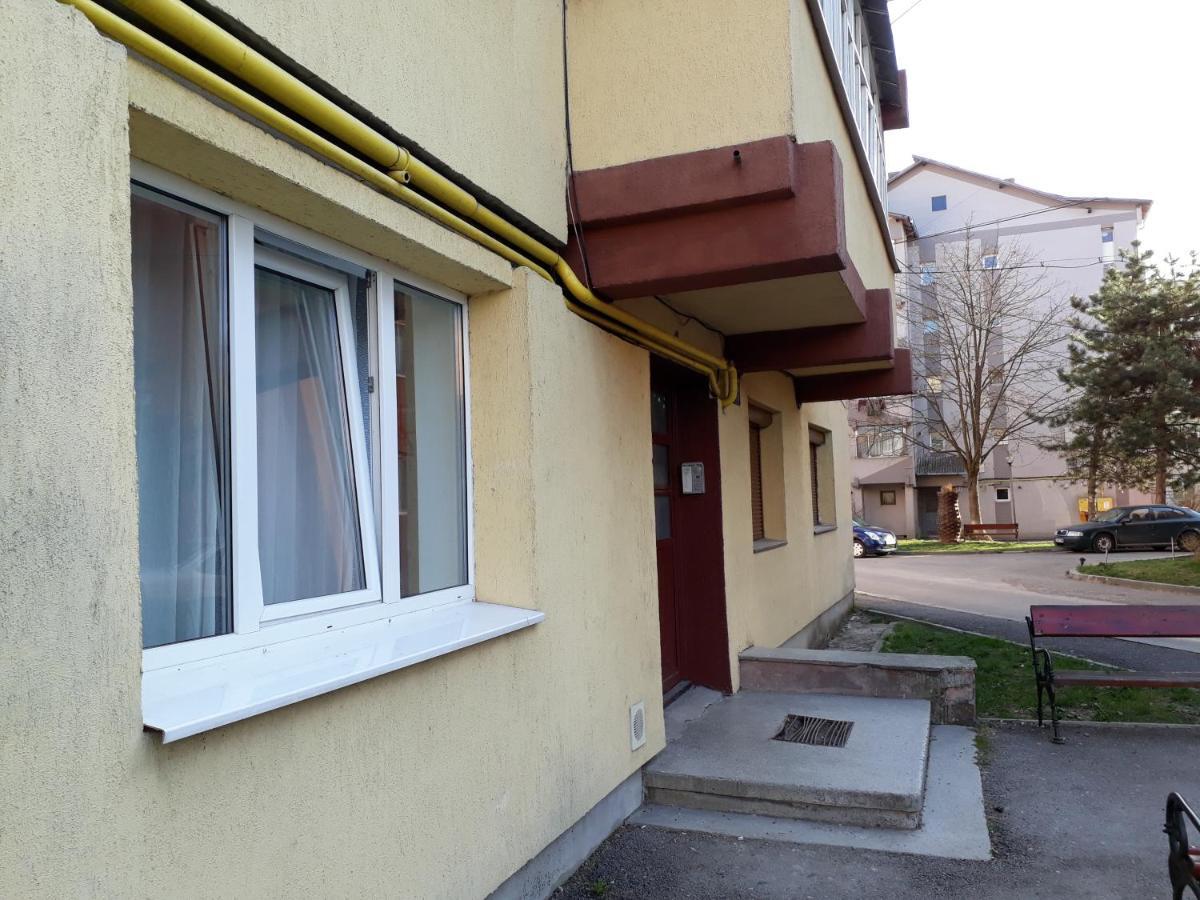 Apartament Studio Central Gura Humorului Zewnętrze zdjęcie